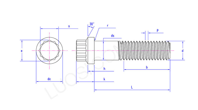 12 Point Flange Screw