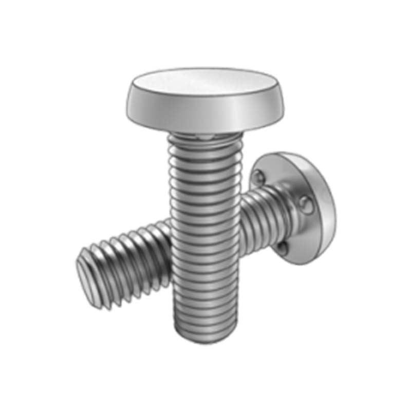 Vite di saldatura a proiezione a testa tonda