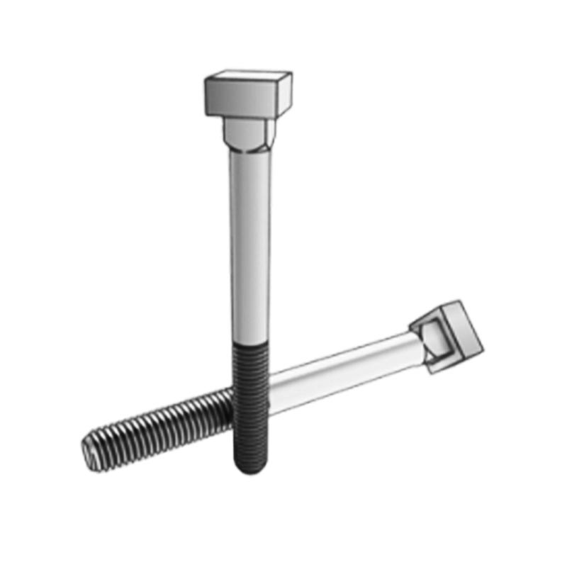 Bulloni di ancoraggio a testa quadrata con collo quadrato